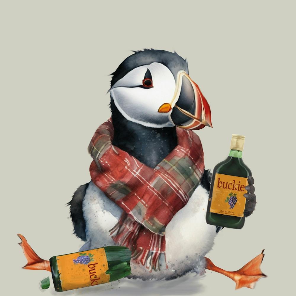 Highland Puffin with Tartan