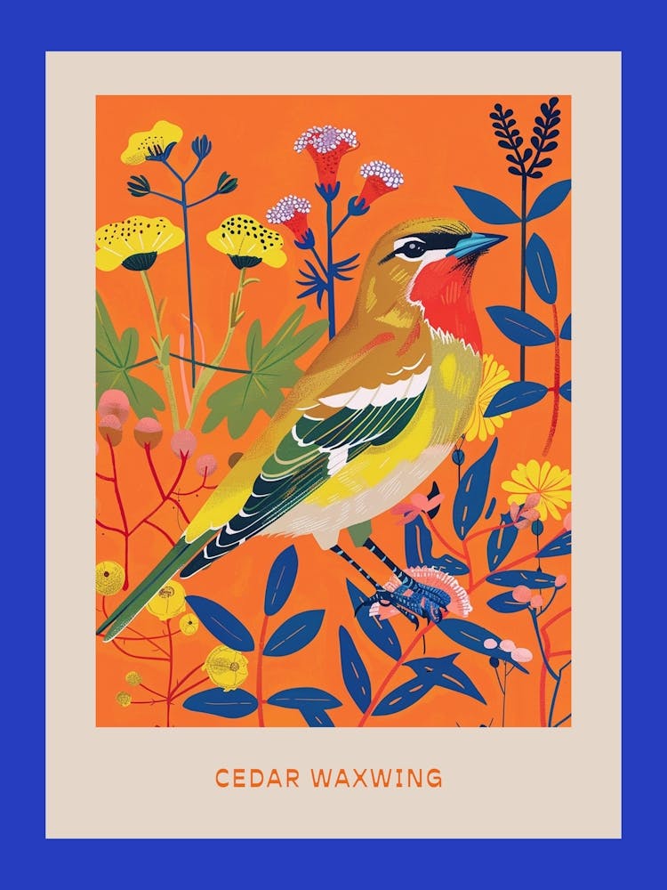 Spring Birds Poster Cedar Waxwing 1