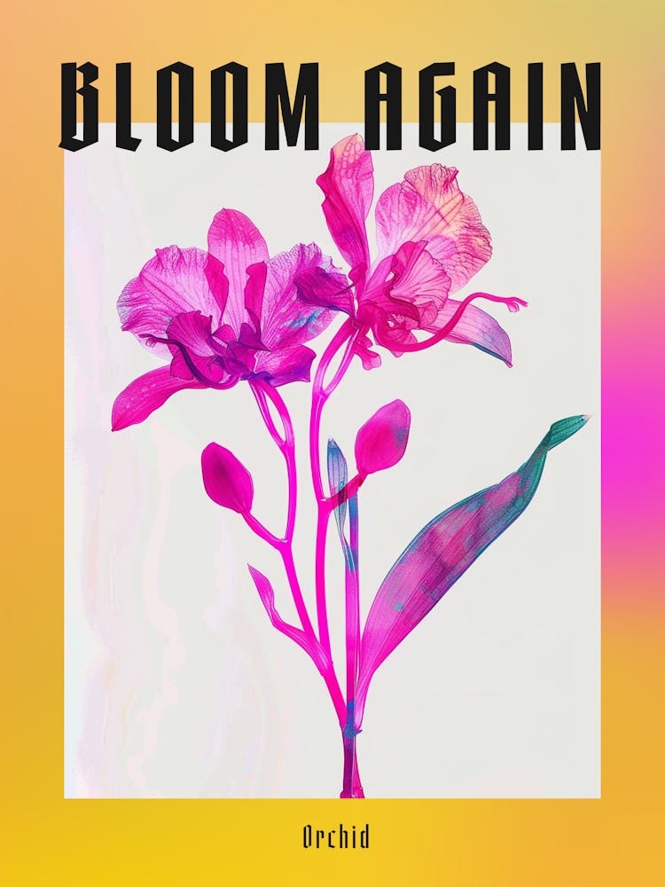 Hot Pink Orchid 1 Poster