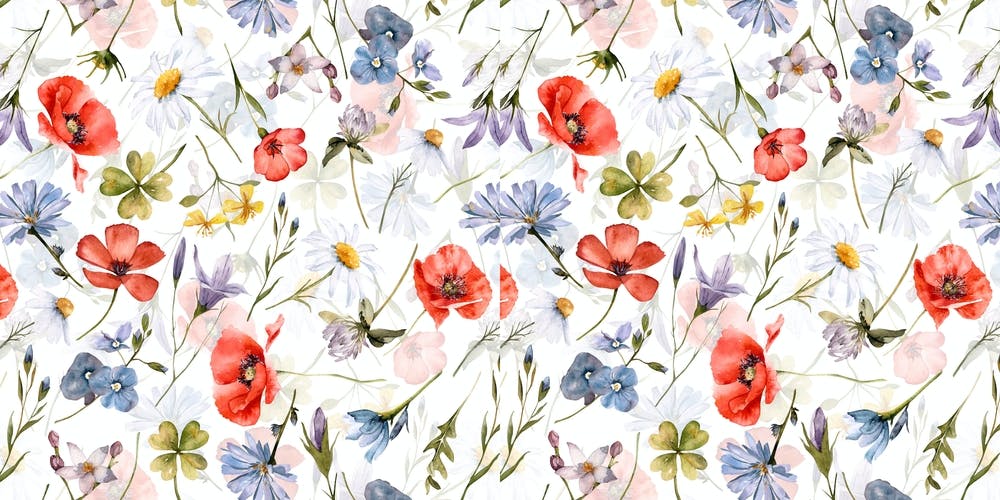 Poppies And Cornflowers Scandinavian Midsummer Wildflowers Meadow