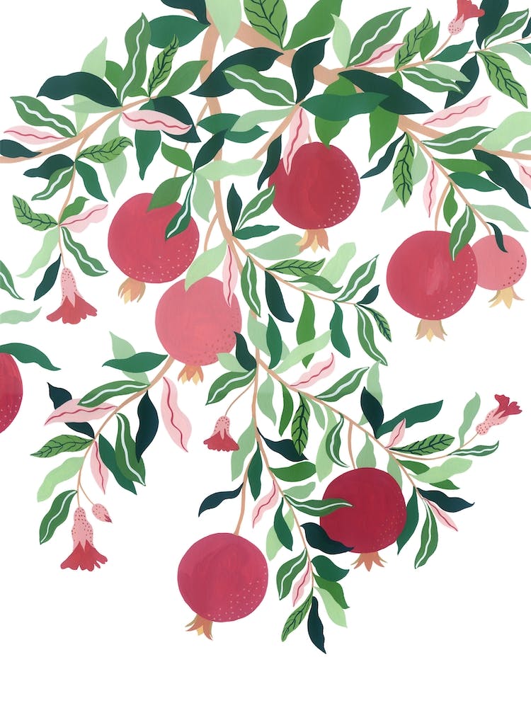 Mediterranean Plant Pomegranate Tree Botanical Painting