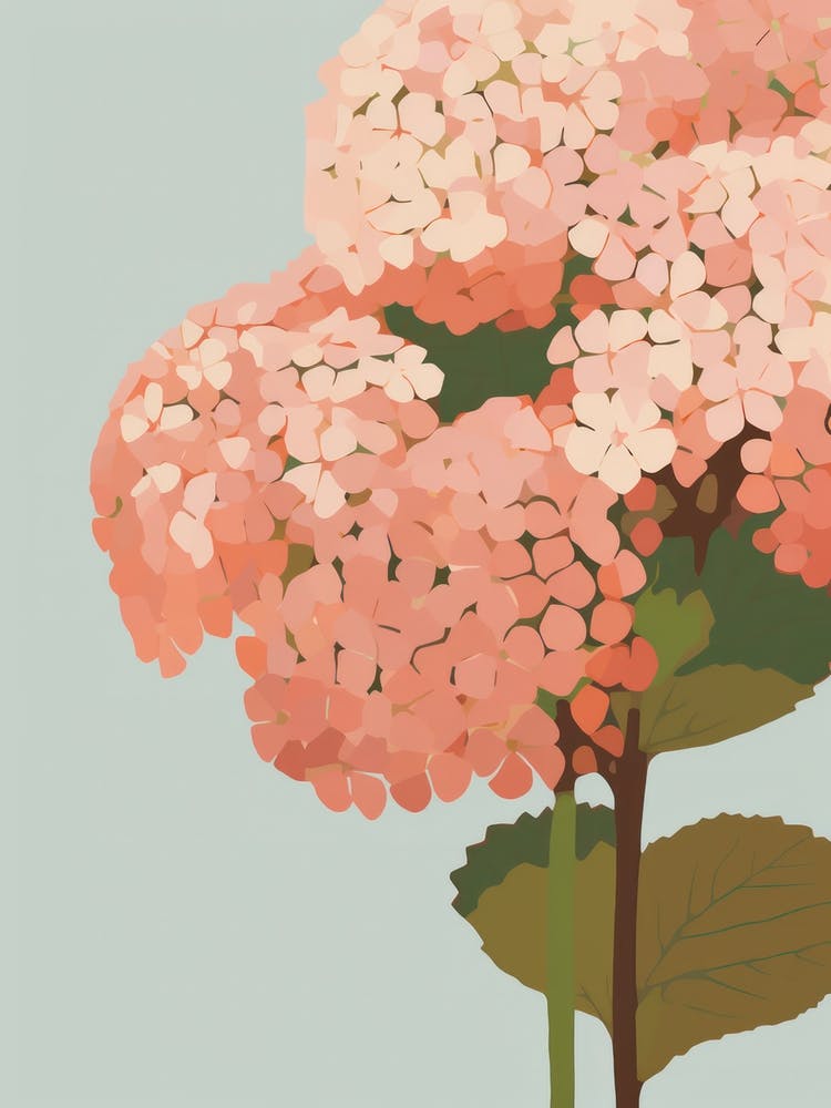 Hydrangeas Flower Big Bold Illustration 3
