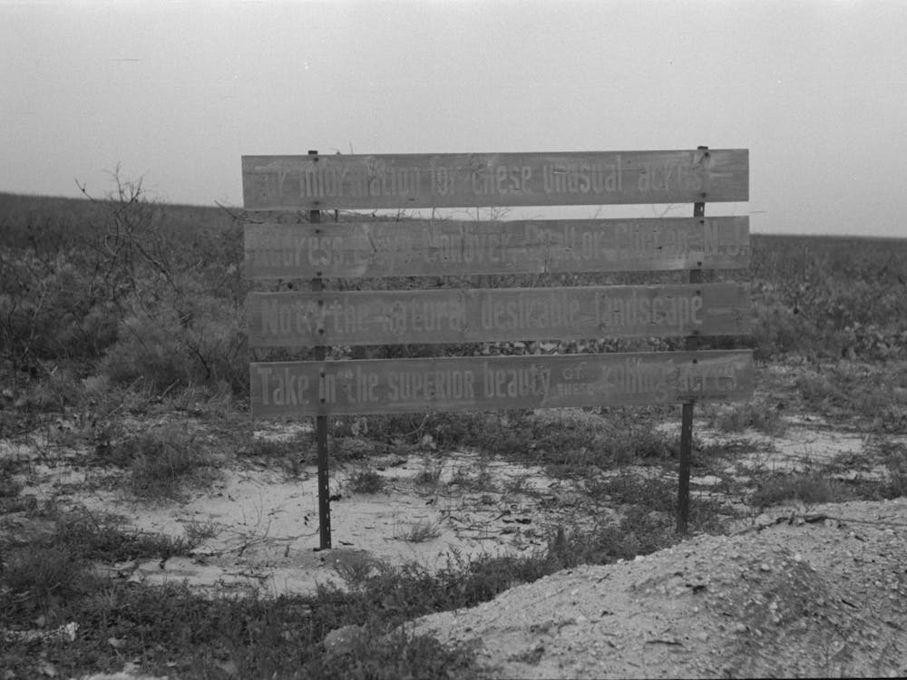 Sign Advertising Land For Farm Purposes, Pine Area, New Jersey By Russell Lee