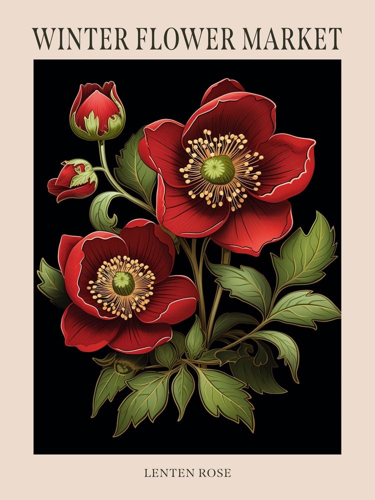 Lenten Rose 4 Winter Flower Market Poster