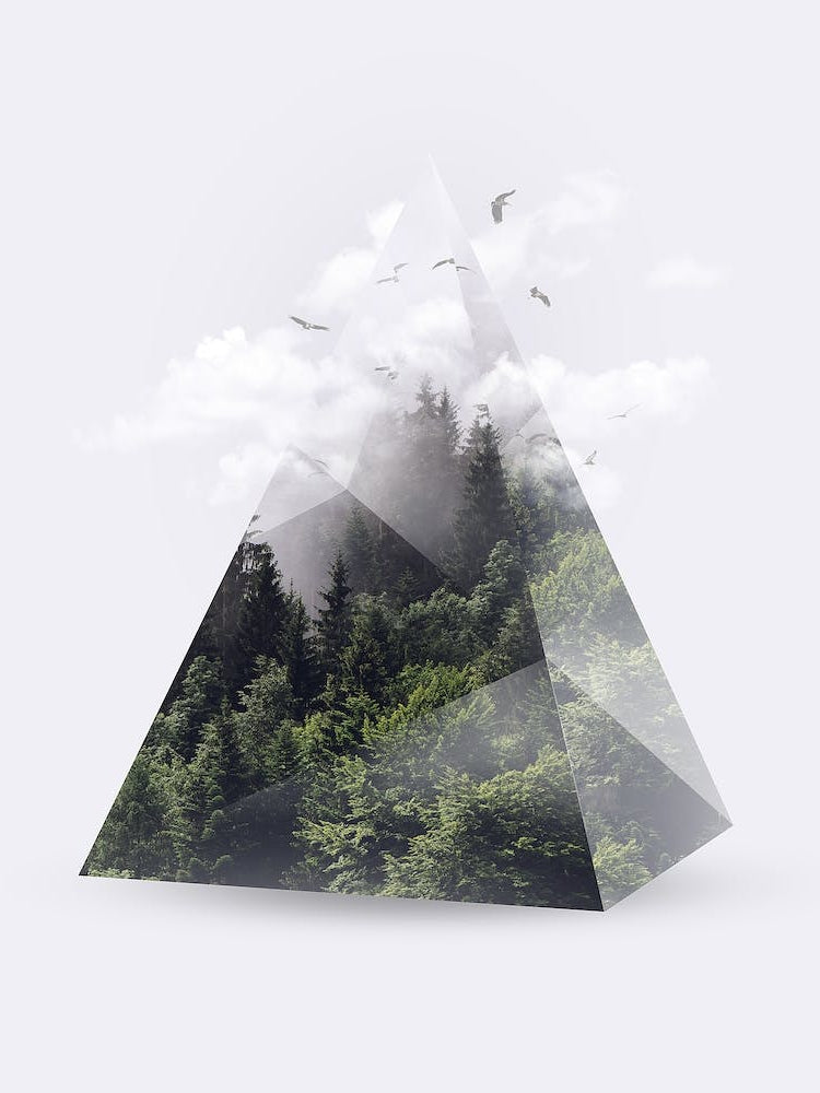 Forest Triangle