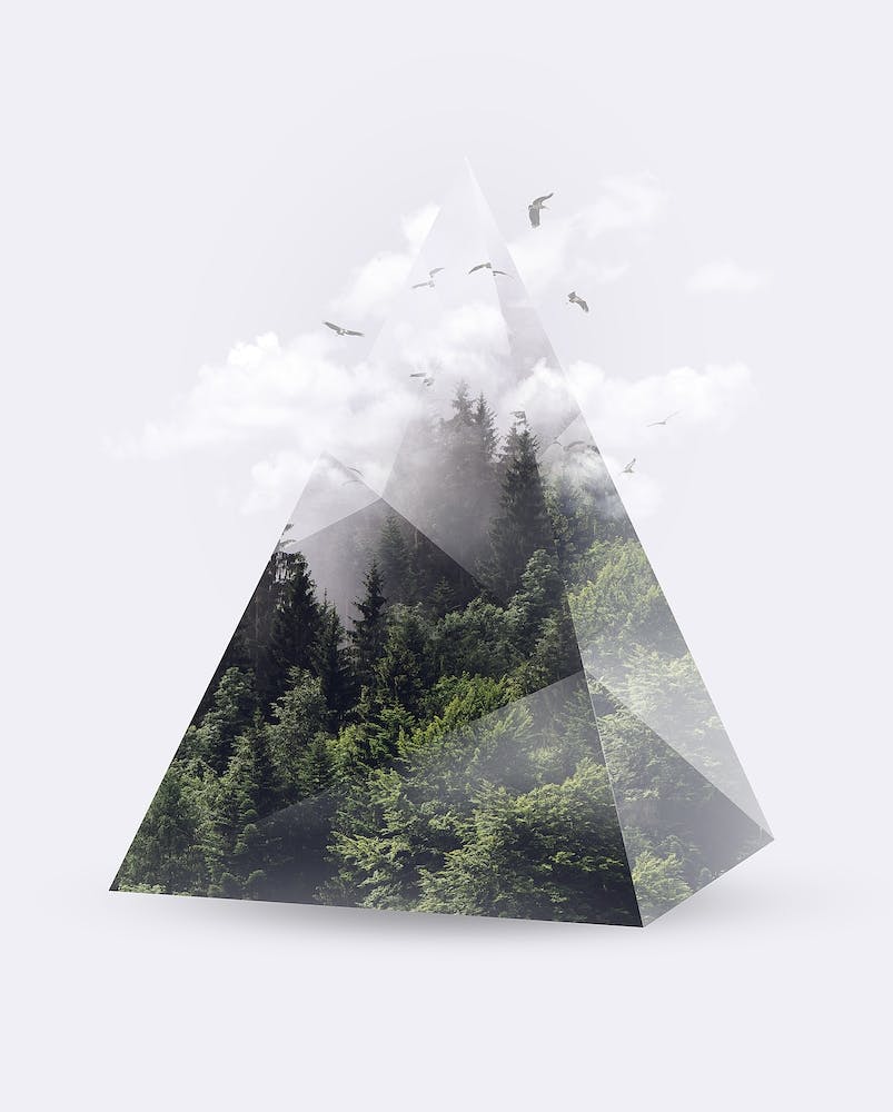 Forest Triangle
