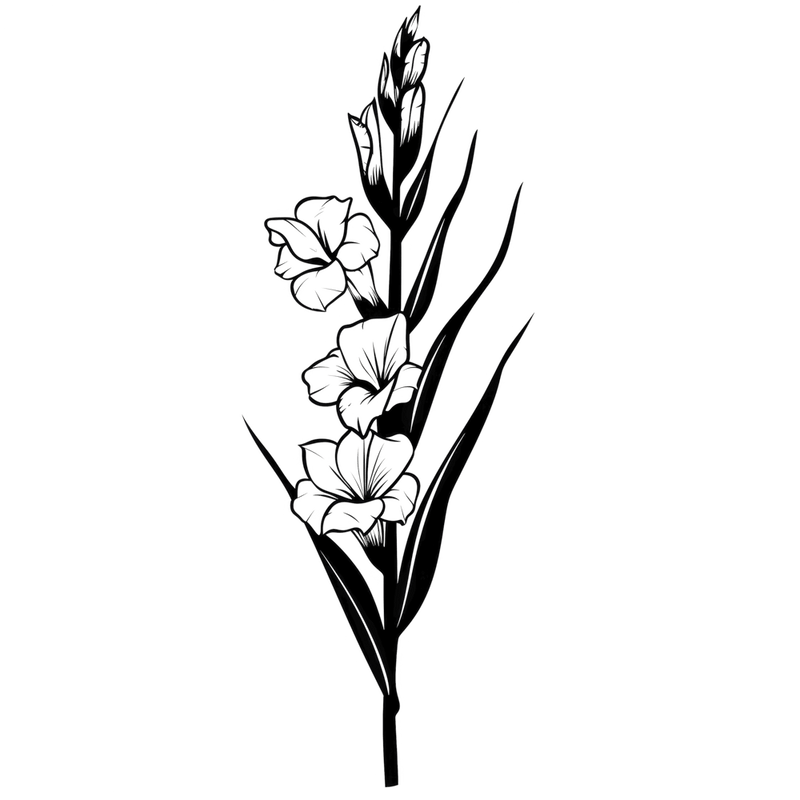Gladiolus August Birth Month Flower 1