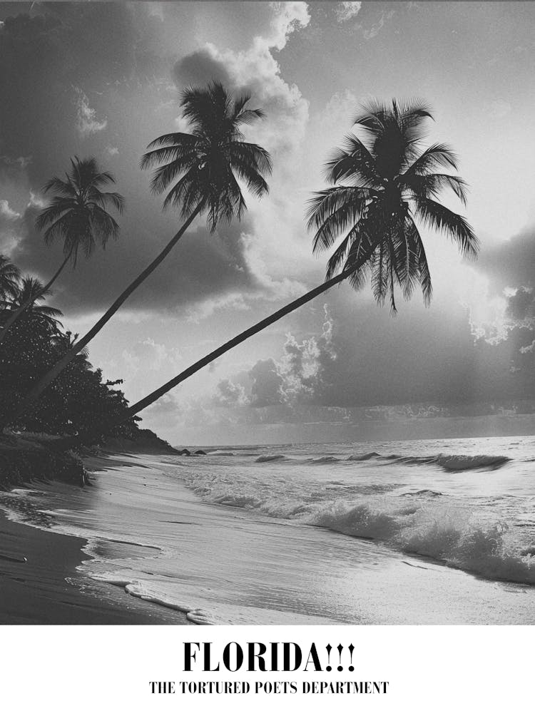 Taylor Swift Florida Ttpd Swifie Merch Black And White