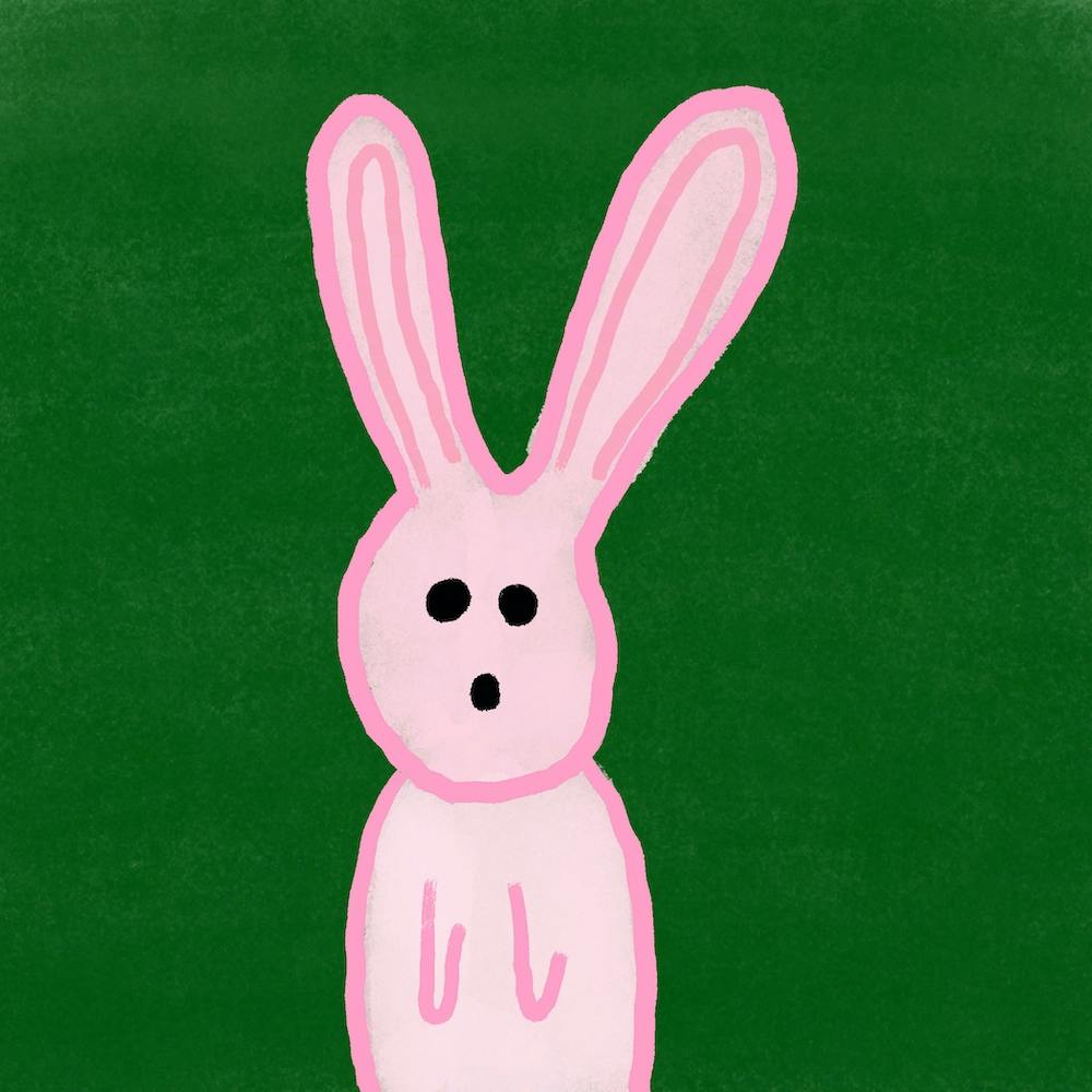 Pink Rabbit in the woods 🐇🌳