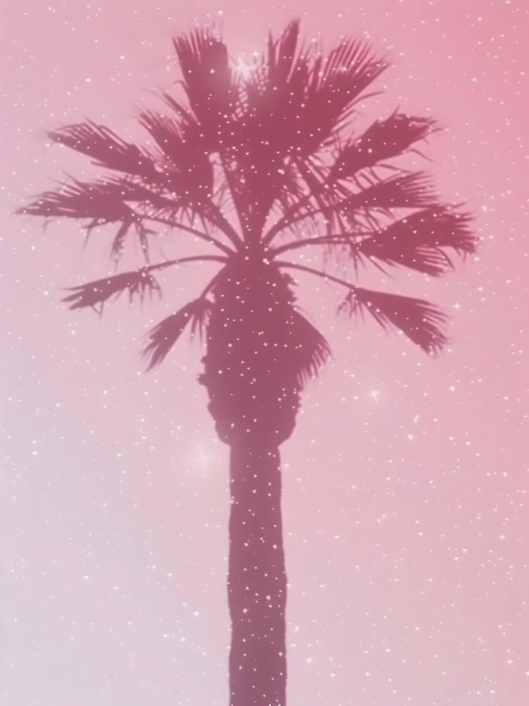 Pink Palm Tree 2
