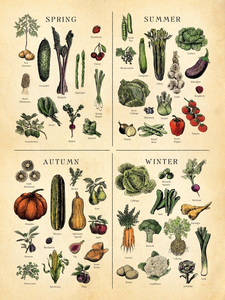 Uk Seasonal Fruit And Veg Chart