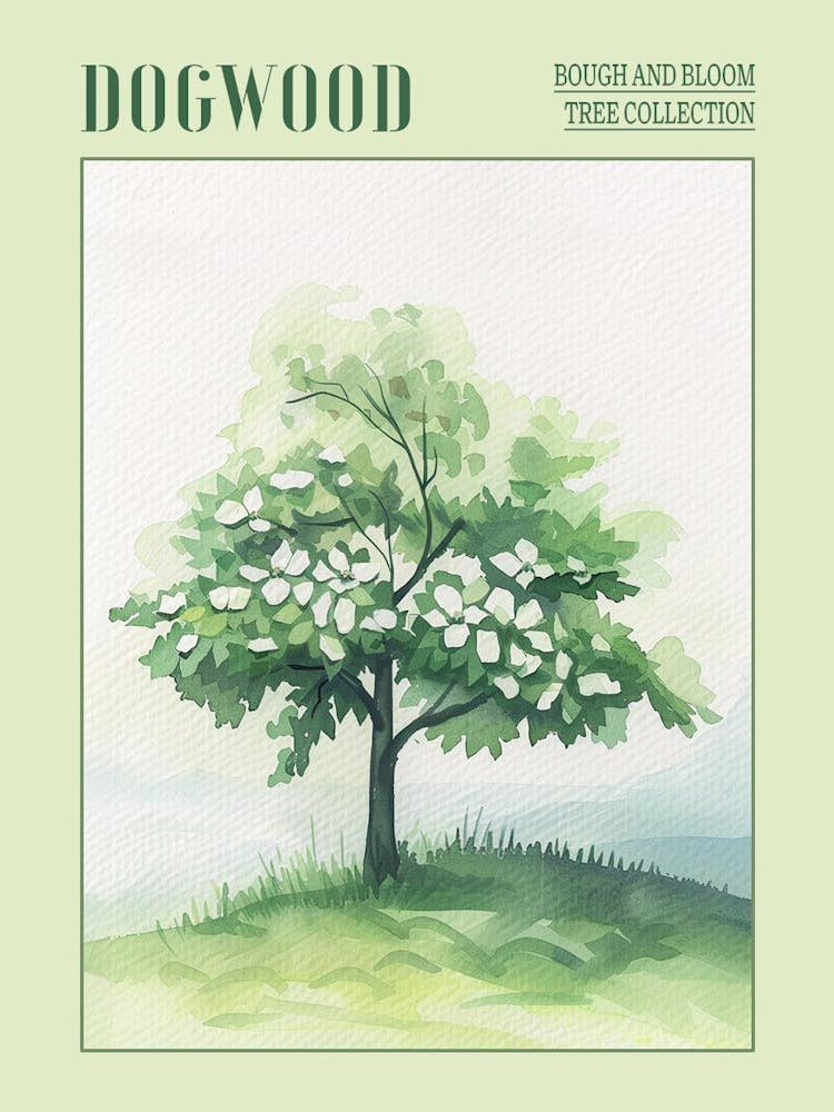 Dogwood Tree Atmospheric Watercolour Painting 1 Poster