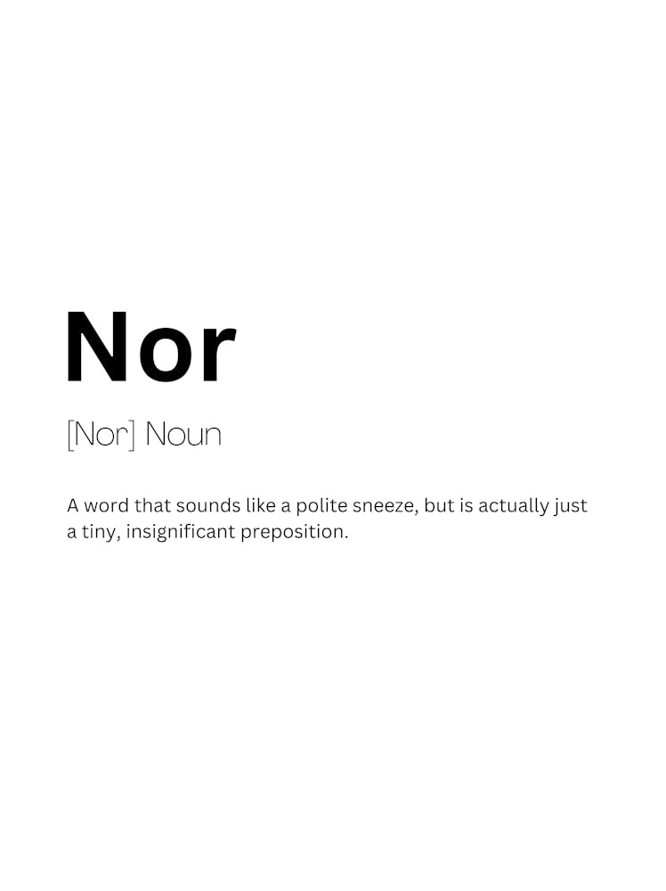 Nor Definition Meaning