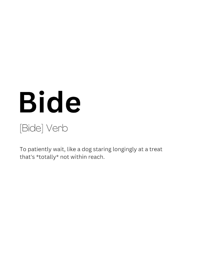 Bide Definition Meaning