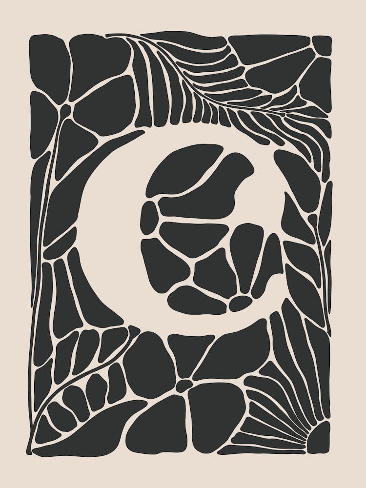 Botanical Letter C No 0743