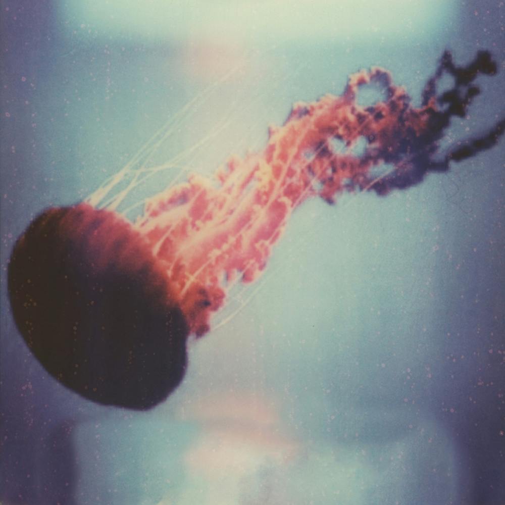 Deep Dive