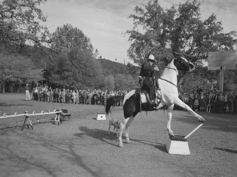 High School Horse Performs Before Children Of Construction Workers At Summit City School, Summit City