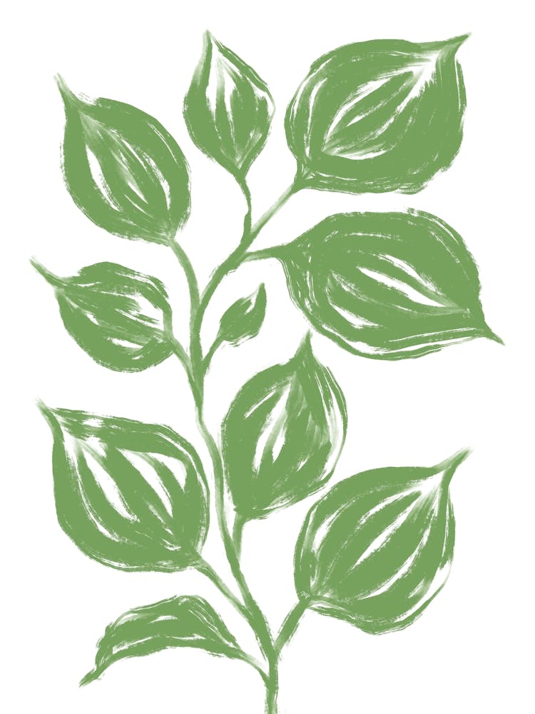 Big Green Leaves 1