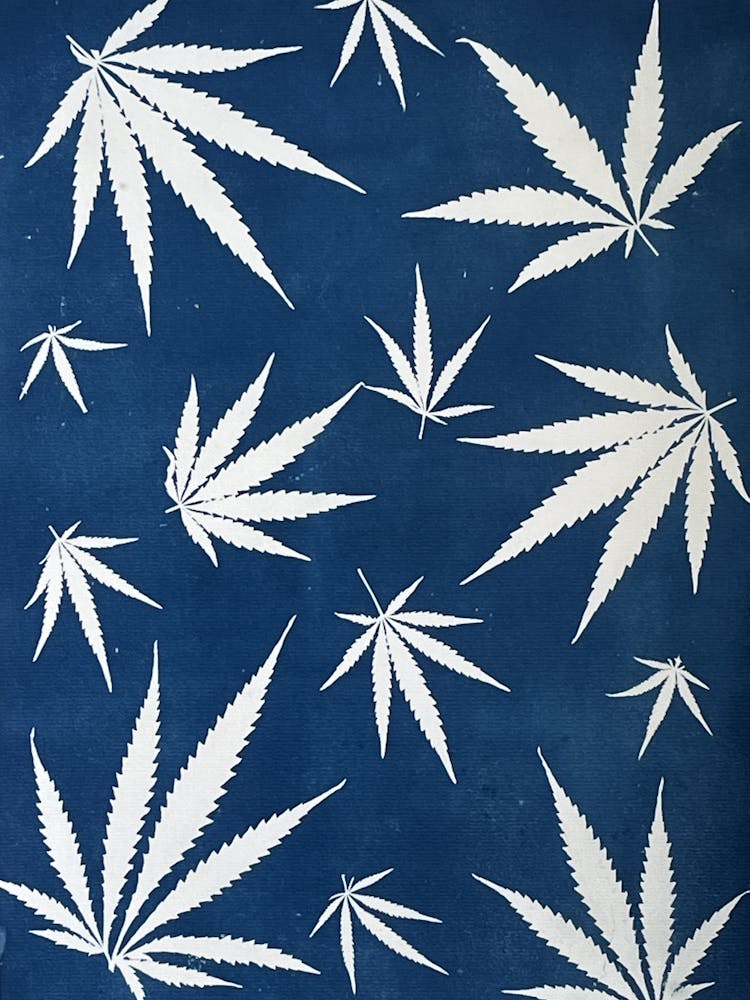 Cyanotype blue hemp leaf