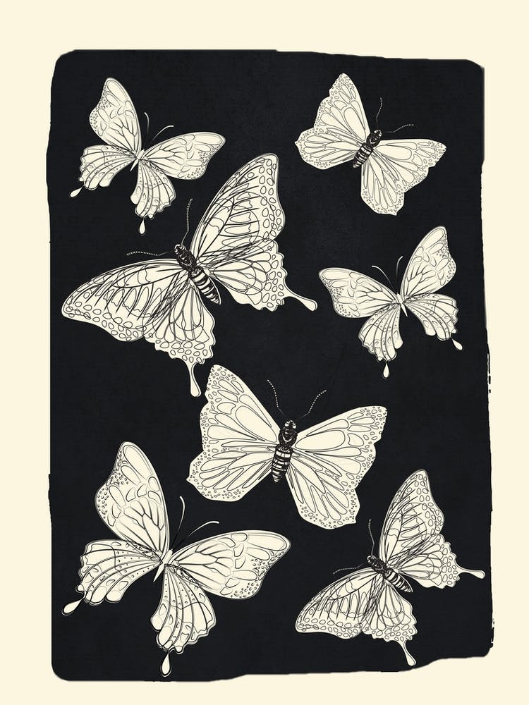 Flying Butterflies 1