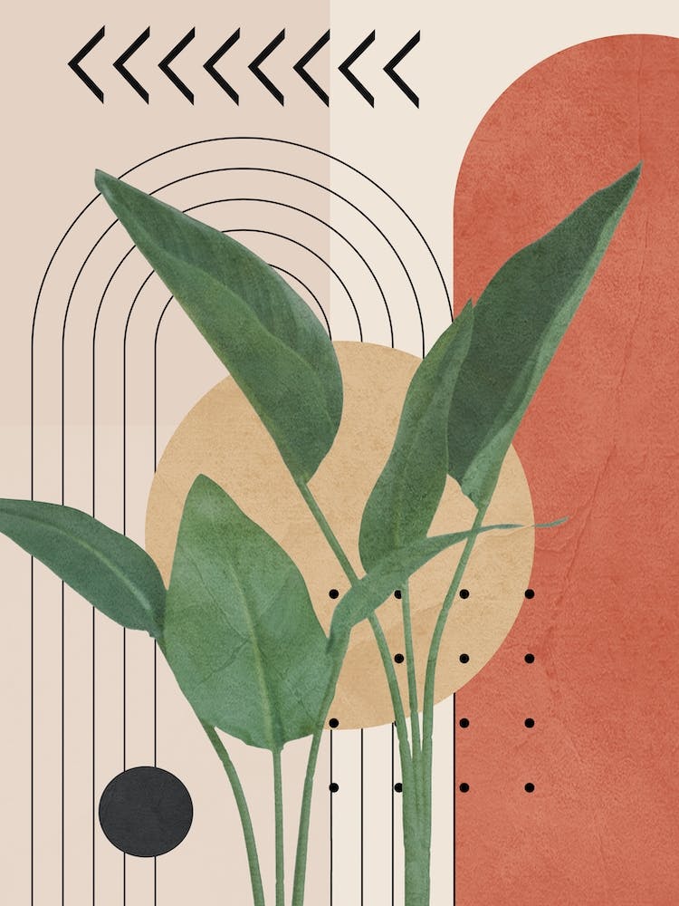 Nature Geometry Iv