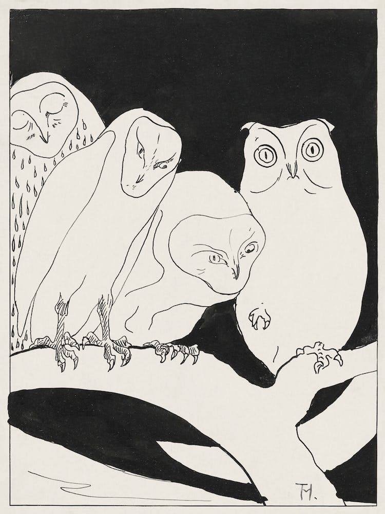 Owls On A Branch (1873–1917), Theo Van Hoytema