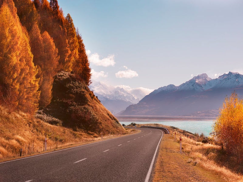 NZRoad1