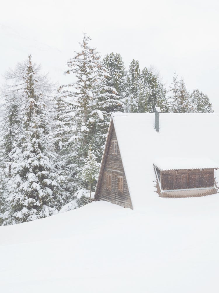 Log Cabin In Winter