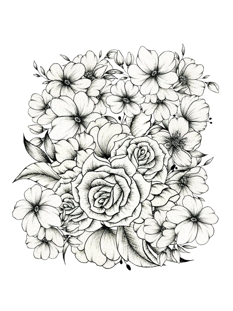 Roses Noires Et Blanches