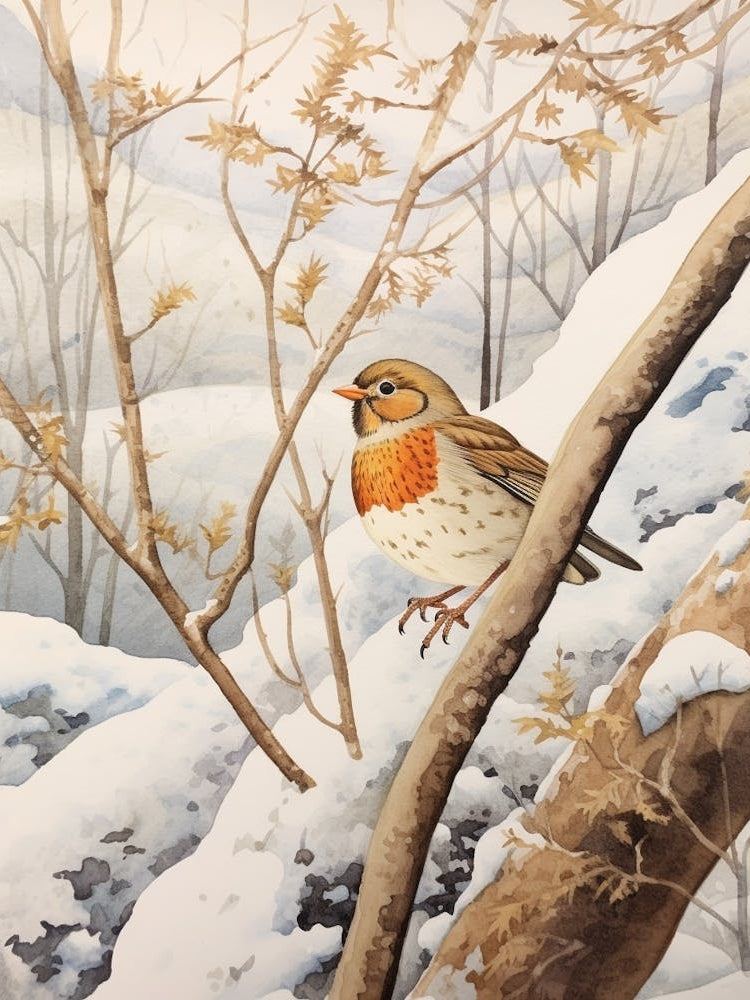 Bird Illustration Hermit Thrush 3