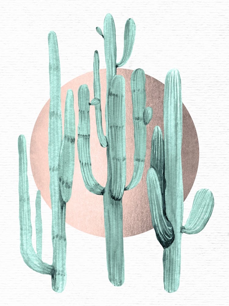 Cactus Print - Summer Sun Gold