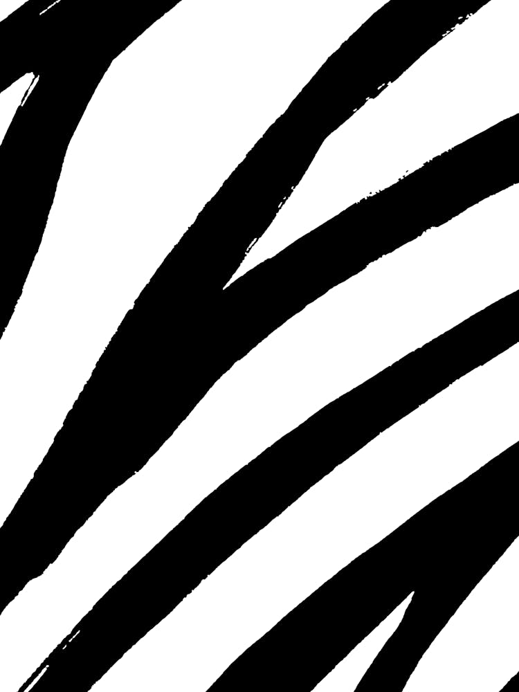 Zebrastreifen 7