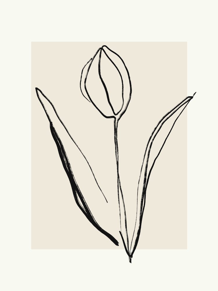 Tulip 4