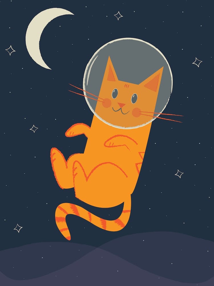 Floating Space Cat