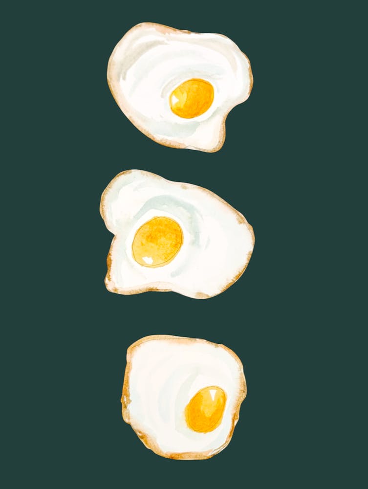 Fried Eggs Illustration Kitchen