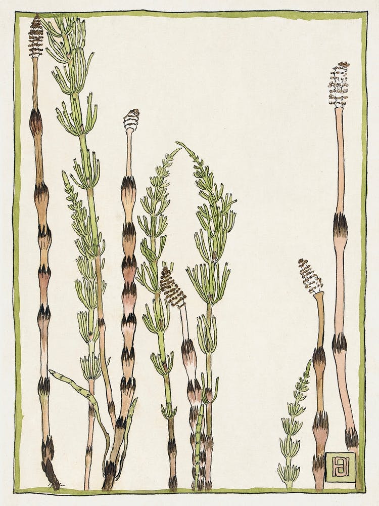 Horsetail (1915), Hannah Borger Overbeck