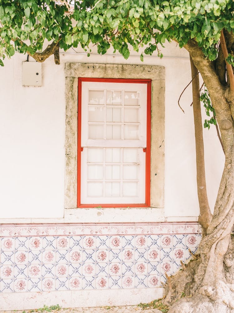 Tree And Portugese Tiles