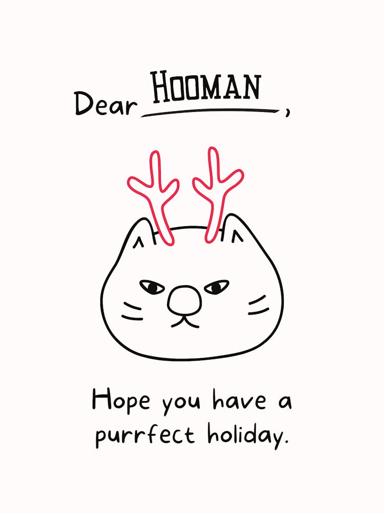 Purrfect Holiday