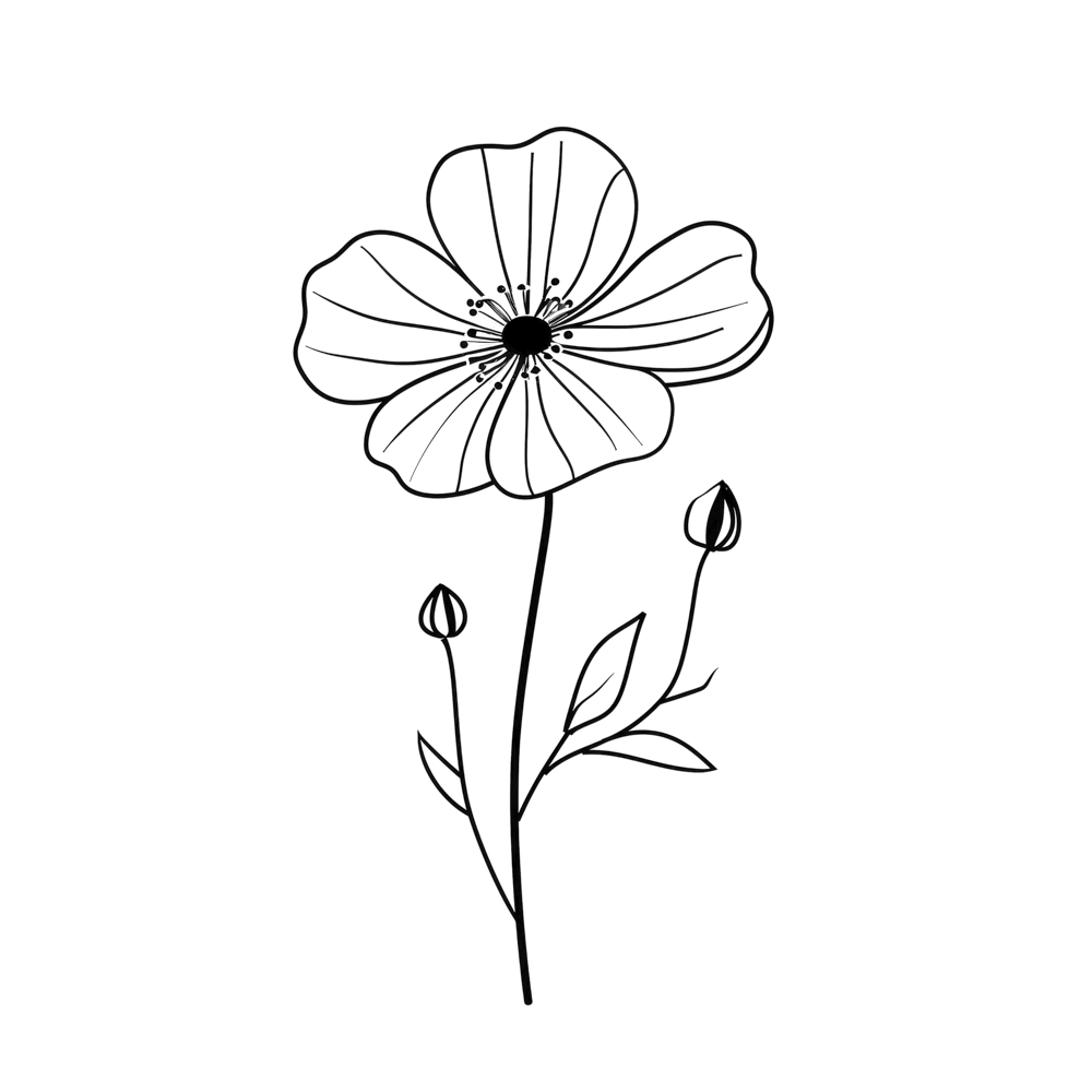 Cosmos October Birth Month Flower 1