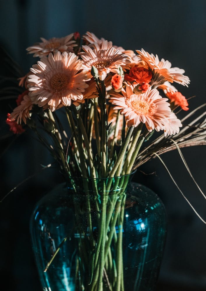 Jeu D'Ombres Et De Lumières Des Fleurs