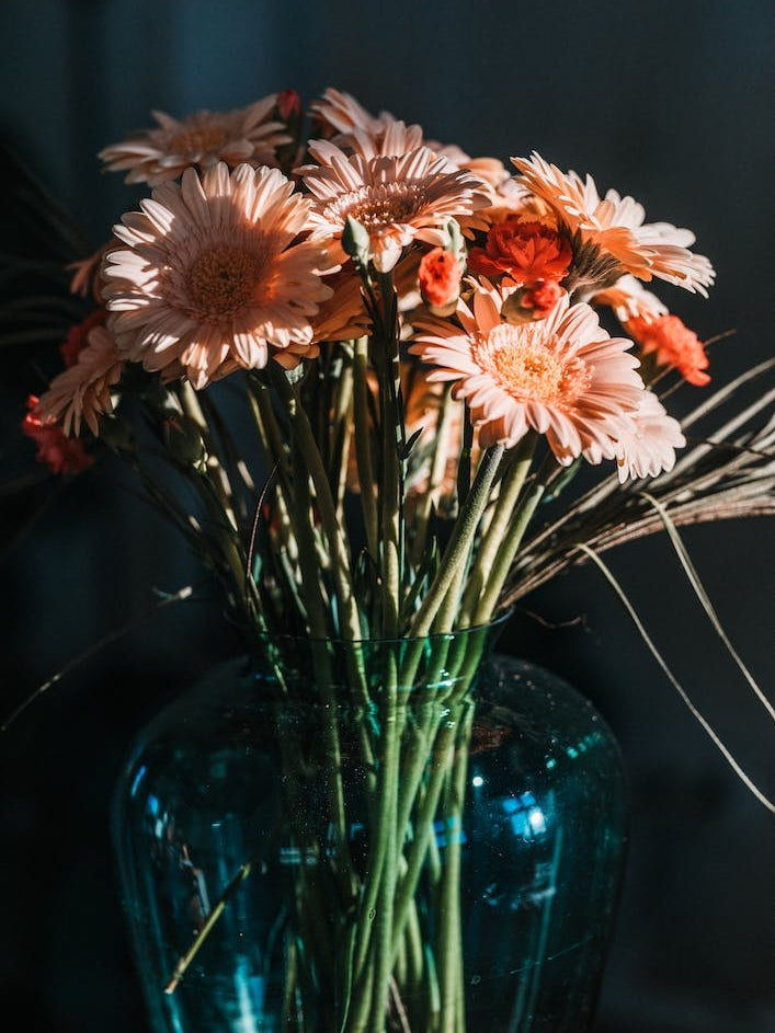 Flowers Light And Shadow Play