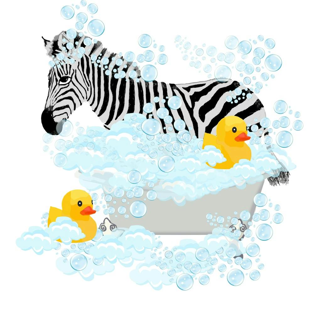 Zebra in the tub 1