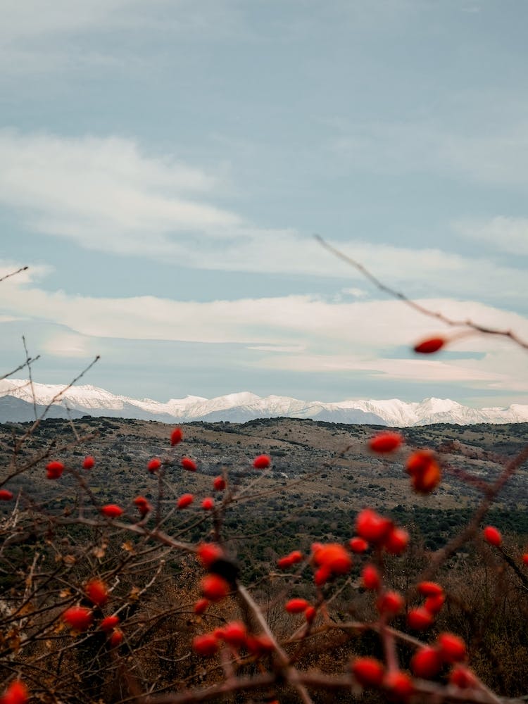 Mountains Near Zitsa Greece