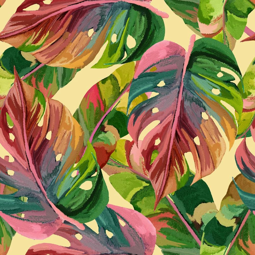 Monstera Colorful Leaves Foliage