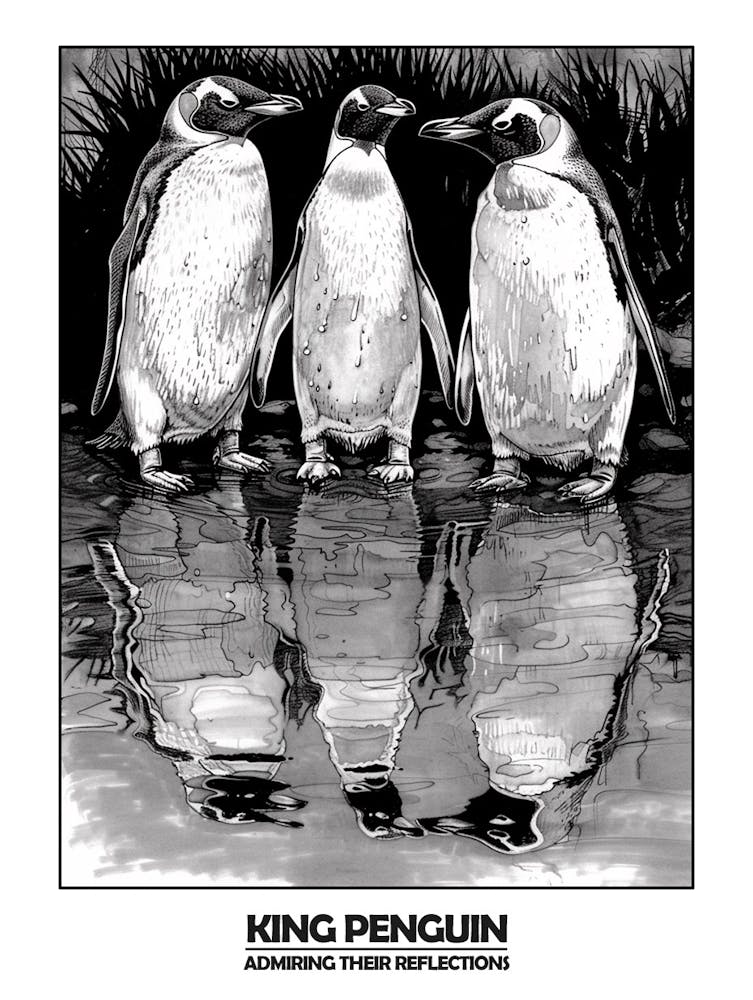 Penguin Admiring Their Reflections Poster 4