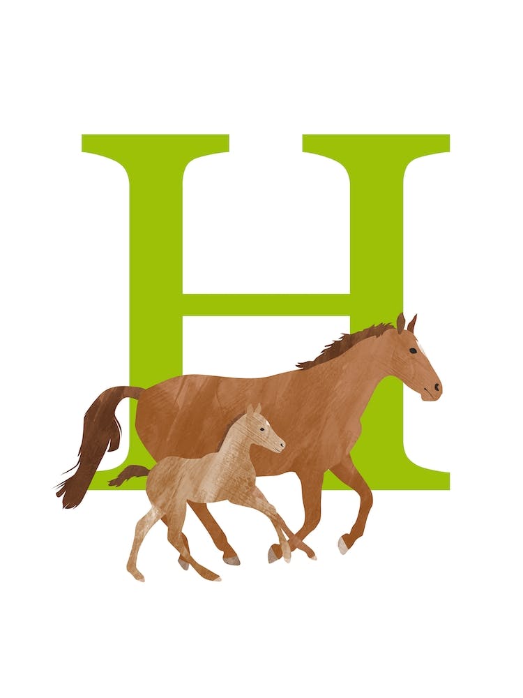 H For Horse