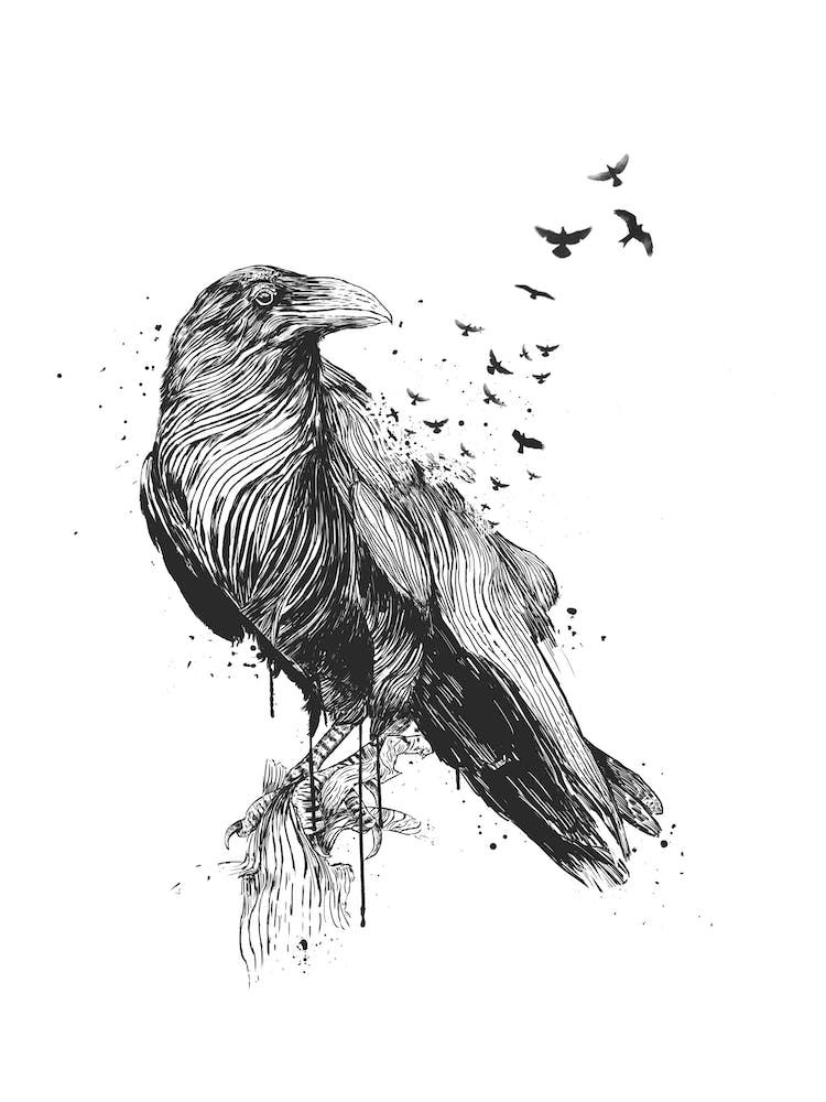 Born to be free (bw)