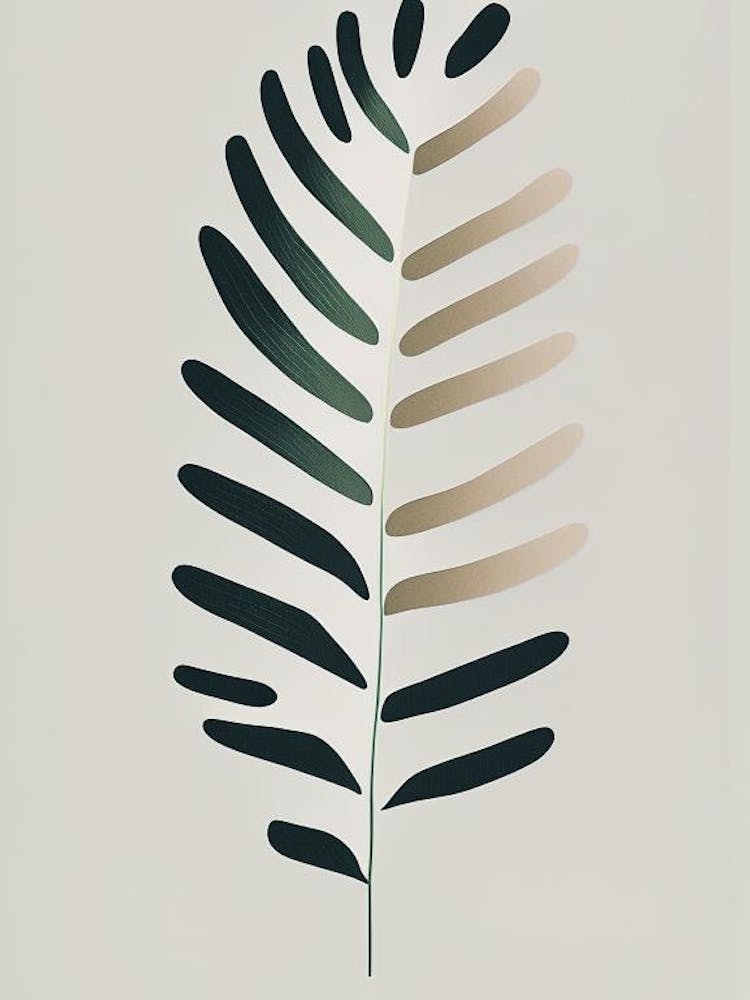 Shield Fern Simplicity