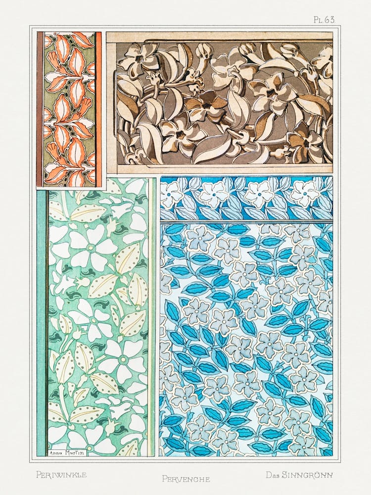 Periwinkle From The Plant And Its Ornamental Applications (1896), Maurice Pillard Verneuil 1