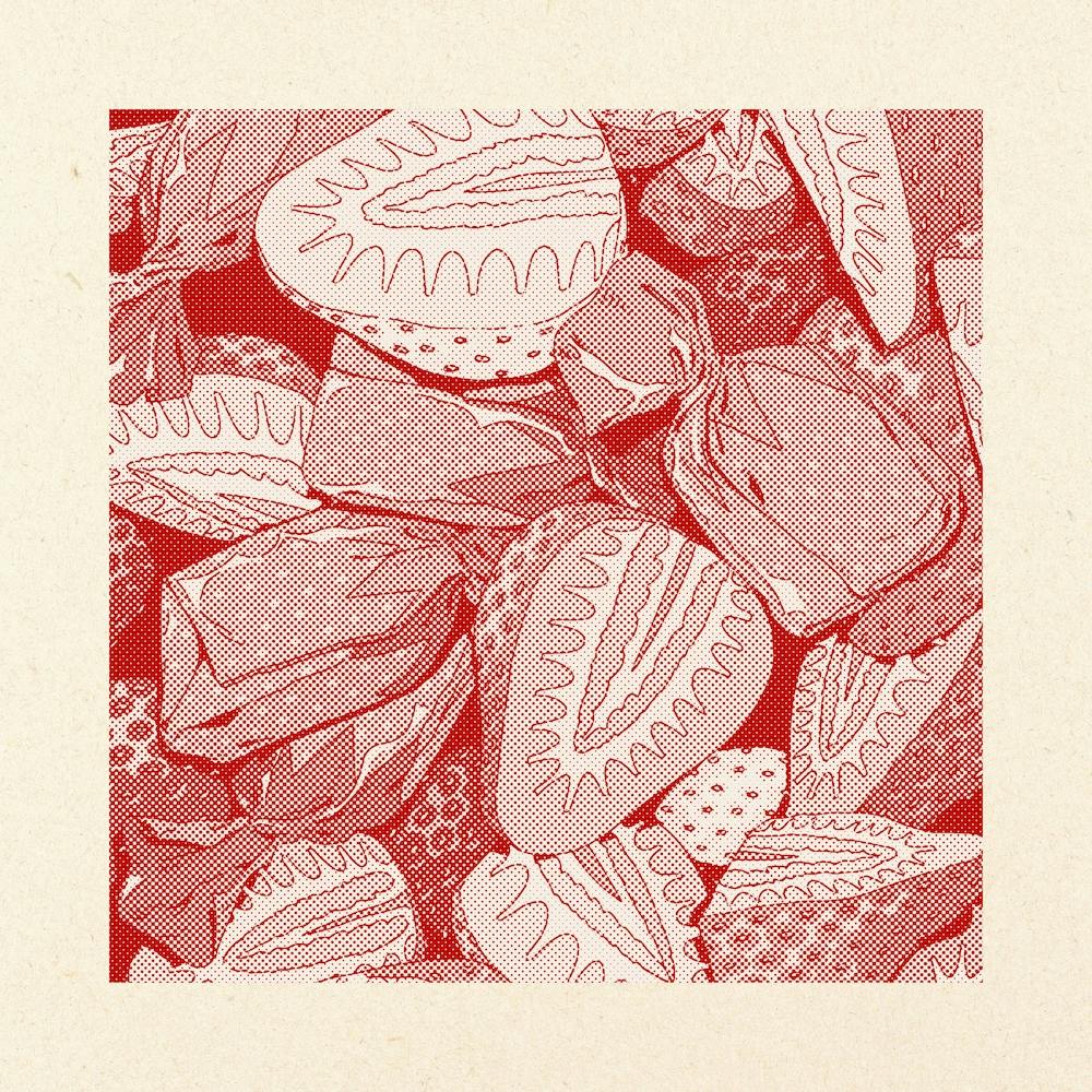 Duotone Strawberry Square